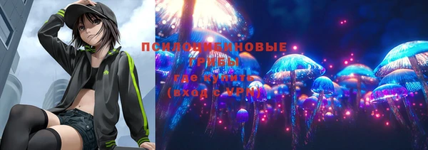 кристаллы Няндома