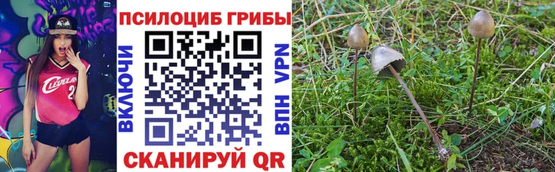 Псилоцибиновые грибы Cubensis купить наркотик Иркутск
